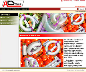 Expert Web Programmers
