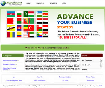 Expert Web Programmers