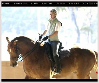 Expert Web Programmers