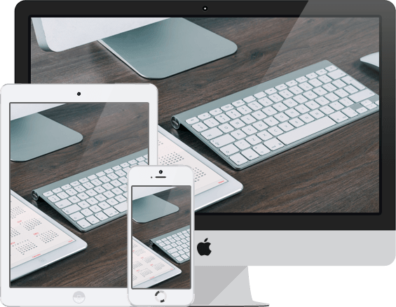 Expert Web Programmers